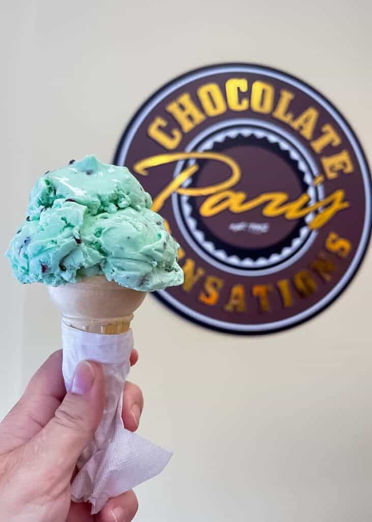 Mint Chocolate Chip-Ice-Cream
