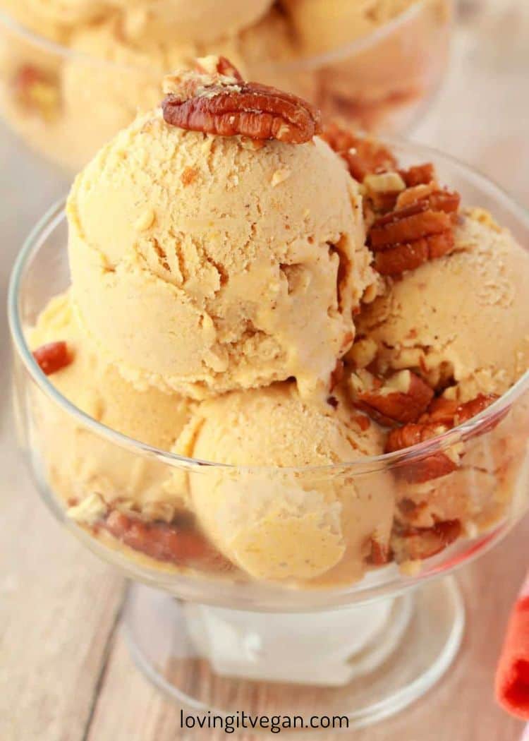 Vegan Pumpkin Spice Ice Cream