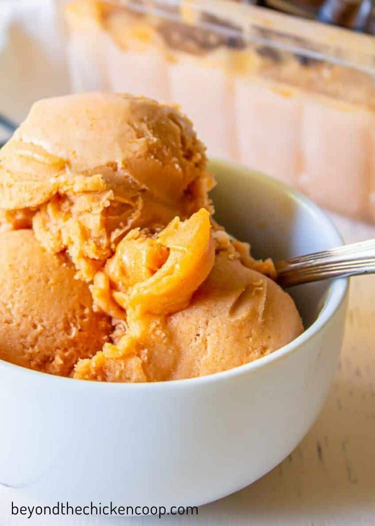 Apricot Sorbet