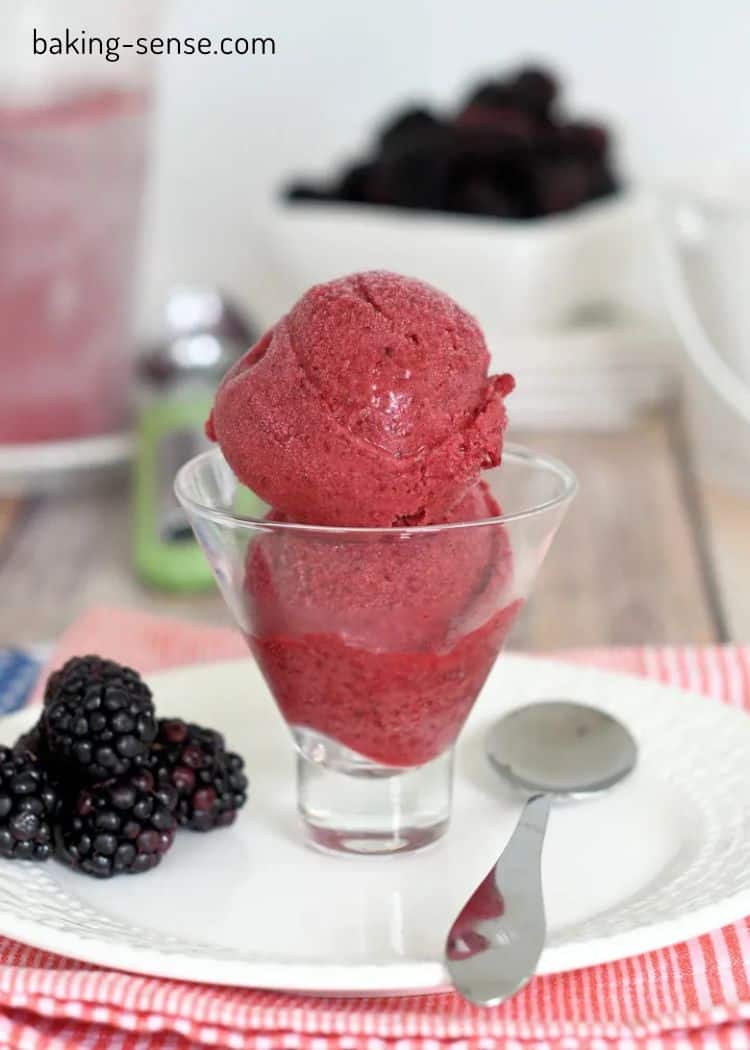 Blackberry Sorbet