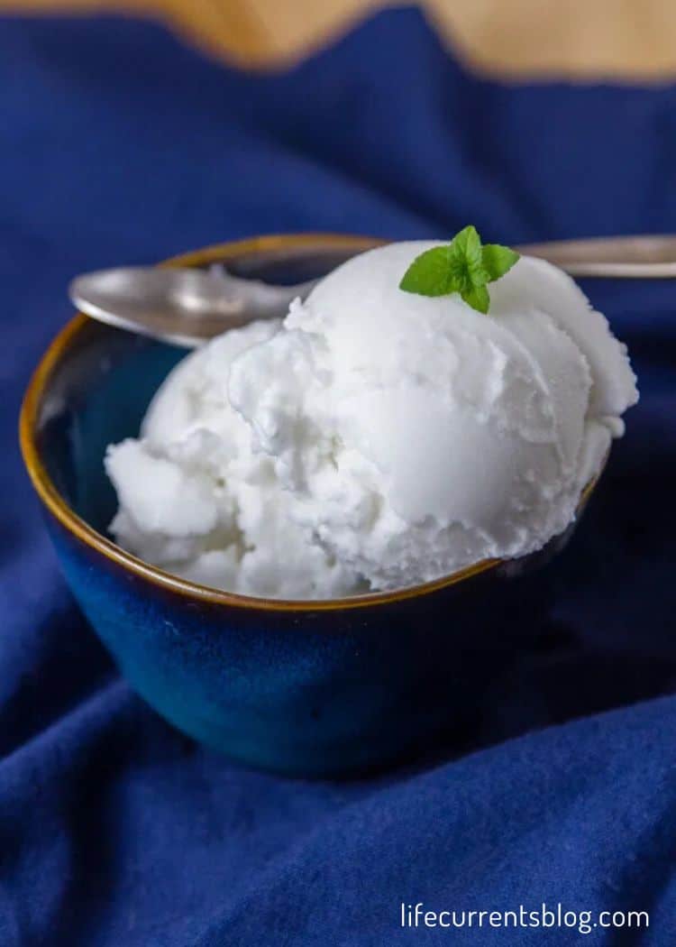 Coconut Sorbet