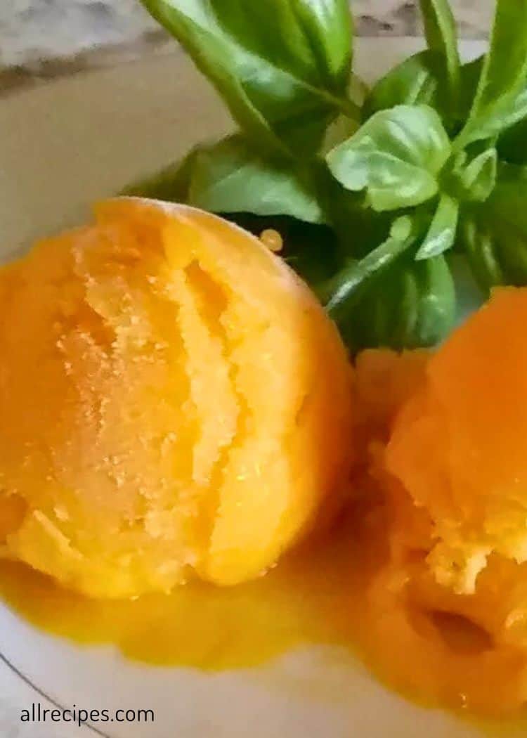 Mango Sorbet