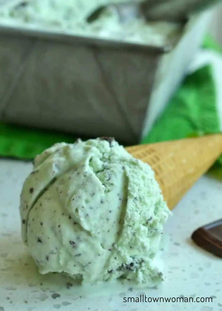 Mint Chocolate Chip Ice Cream