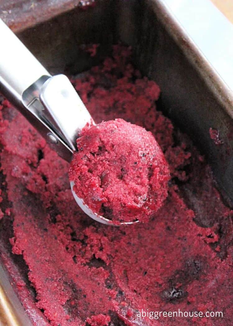 Mixed Berry Sorbet