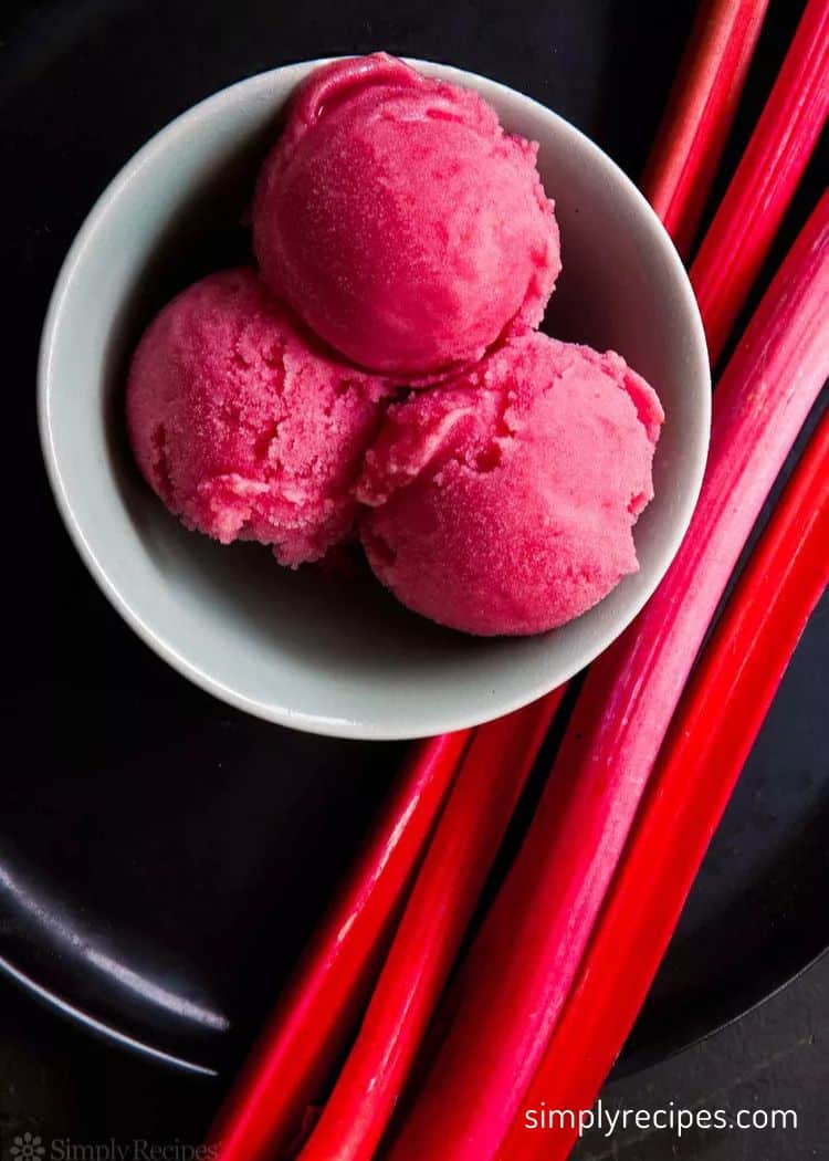 Rhubarb Sorbet